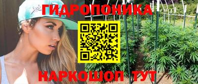 прущие грибы Анжеро-Судженск