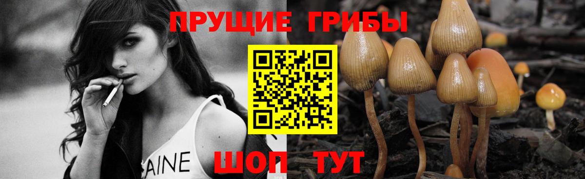 Галлюциногенные грибы GOLDEN TEACHER  как найти закладки  Псилоцибиновые грибы MAGIC MUSHROOMS  Великий Устюг  Вход с VPN 